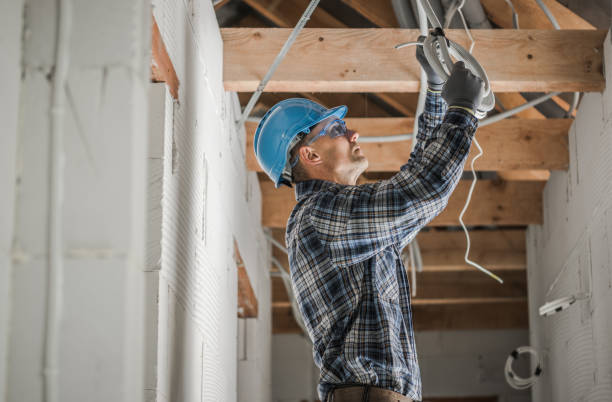 Best Electric Panel Repair  in Waukon, IA