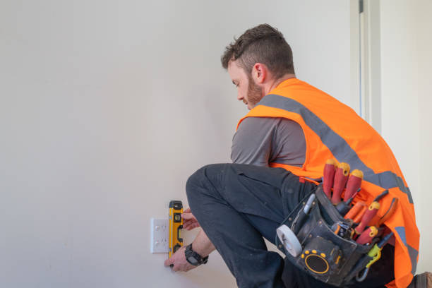 Best Local Electrician Companies  in Waukon, IA